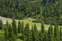 2015-07-04_2Sonnjoch (411).JPG